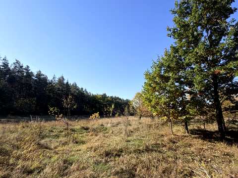 ділянка за адресою с. Малі Кошарища, Зарічна
