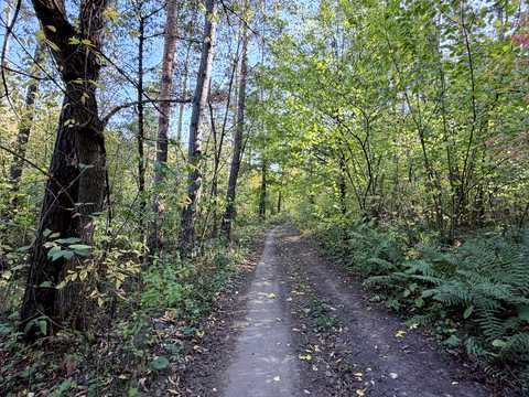 ділянка за адресою с. Малі Кошарища, Зарічна