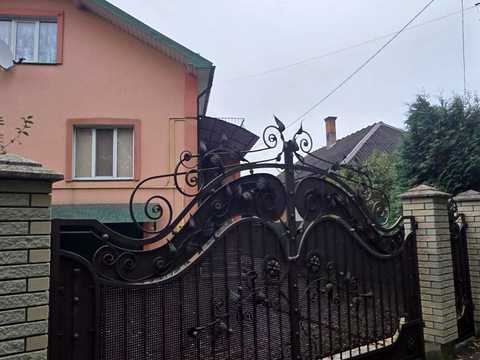 будинок за адресою с. Довге, Лесі Українки вул., 6а