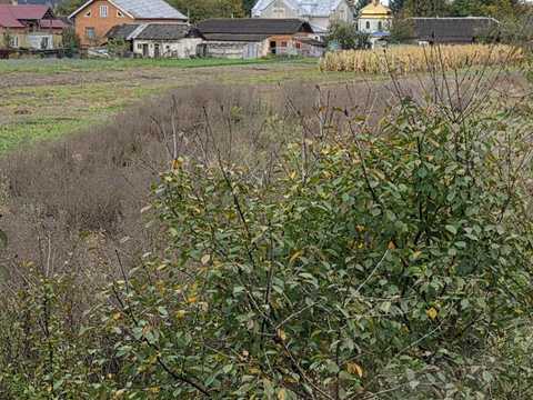 будинок за адресою с. Довге, Лесі Українки вул., 6а