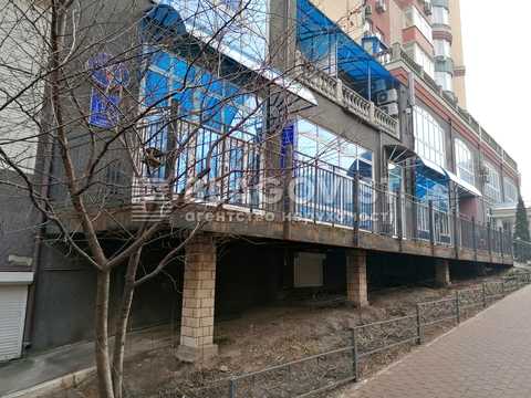 комерційна за адресою Київ, В'ячеслава Чорновола вул., 25