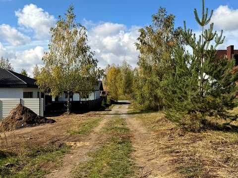 ділянка за адресою с. Біла Криниця, 