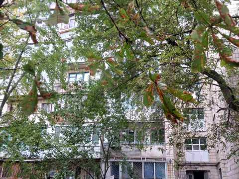 квартира за адресою Озерна вул., 7