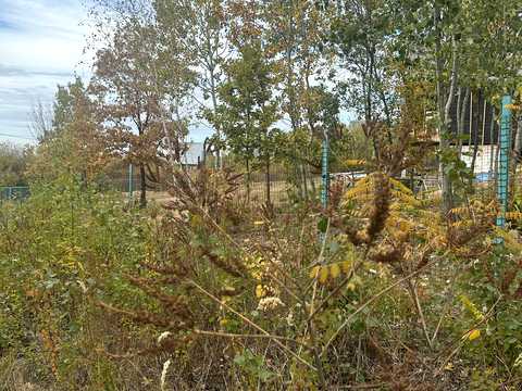 участок по адресу Лазький берег