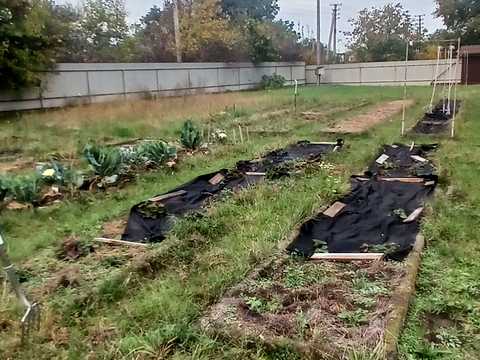 будинок за адресою Миколи Лисенка вул. (Чайковського)