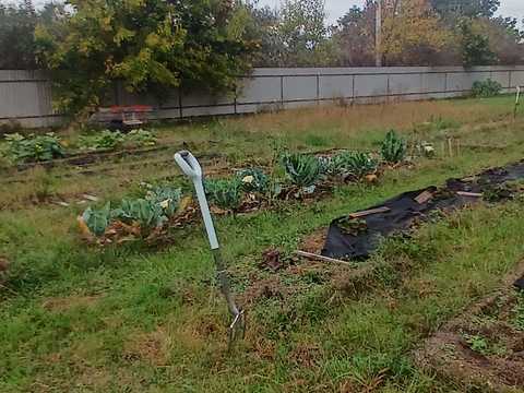 будинок за адресою Миколи Лисенка вул. (Чайковського)