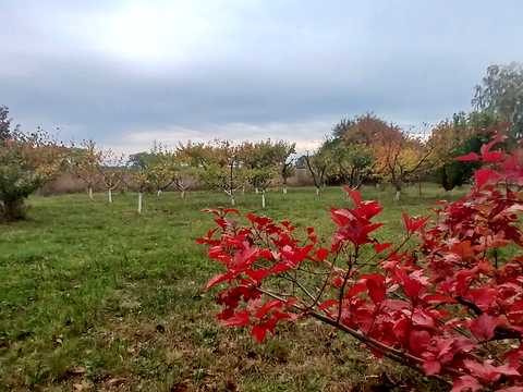 будинок за адресою Миколи Лисенка вул. (Чайковського)