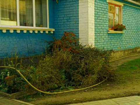 дом по адресу Кармелюка