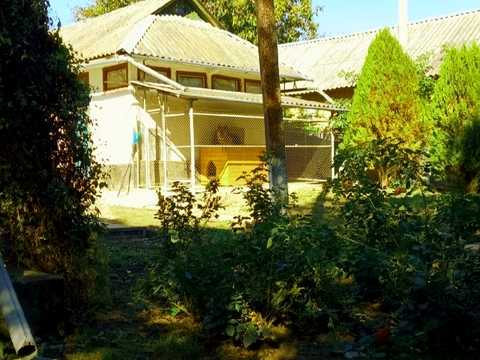 дом по адресу Кармелюка