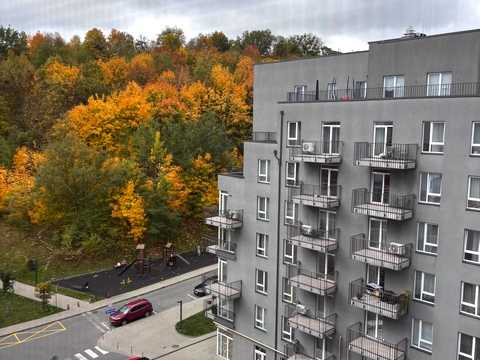 квартира за адресою Малоголосківська вул., 40