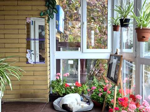 квартира за адресою Григорія Ващенка вул., 5