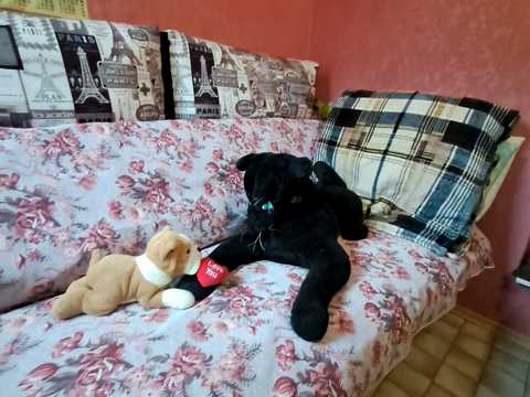 квартира по адресу Киевская ул., 36