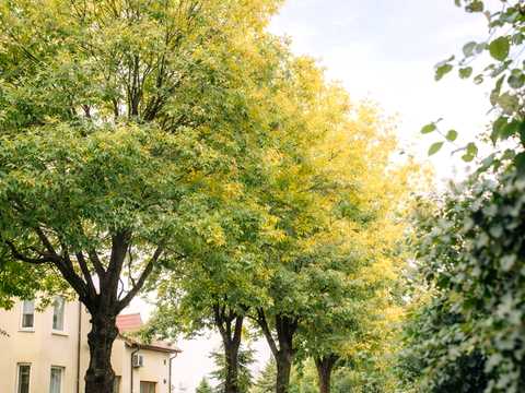 квартира за адресою Остапа Луцького вул., 9-А