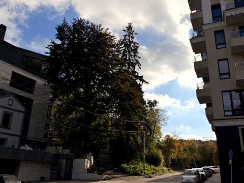 квартира по адресу Ярославенко ул., 30