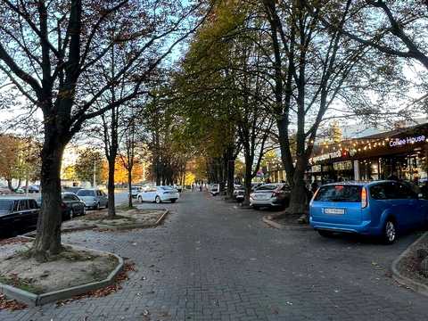 комерційна за адресою Відродження просп., 47