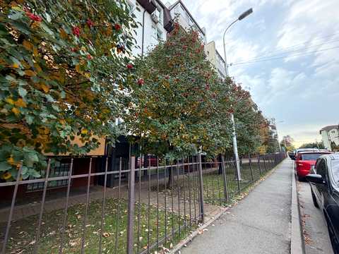 комерційна за адресою Молодіжна вул. (Піонерська), 20