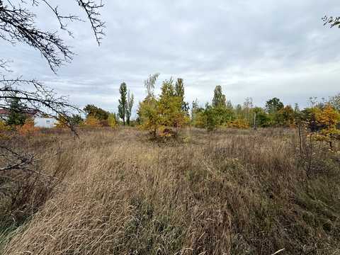 ділянка за адресою Івана Франка вул. (Некрасова)
