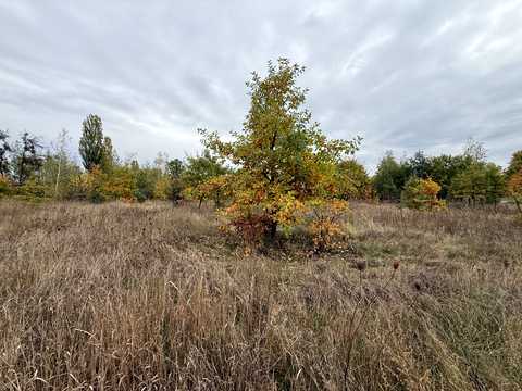 ділянка за адресою Івана Франка вул. (Некрасова)