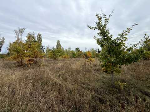 ділянка за адресою Івана Франка вул. (Некрасова)