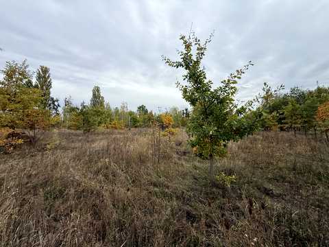 ділянка за адресою Івана Франка вул. (Некрасова)