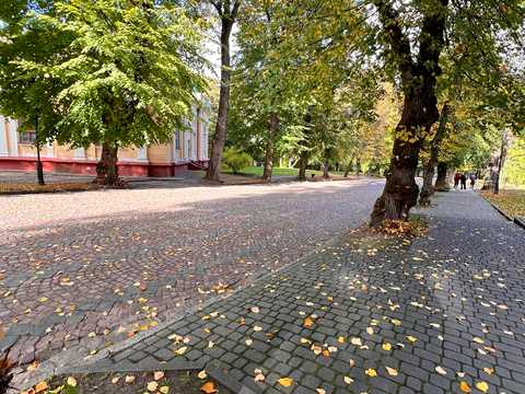 комерційна за адресою Уласа Самчука вул. (улица Пархоменко), 24
