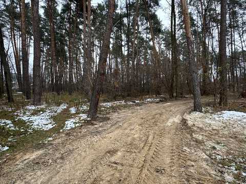 1879289176676426