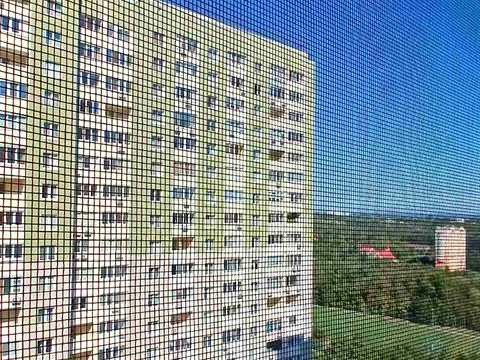 квартира по адресу Кургузова ул., 11-Б