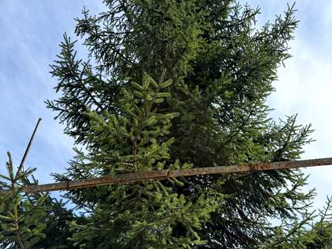 будинок за адресою Андрійченка вул.