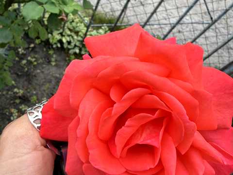 будинок за адресою Андрійченка вул.