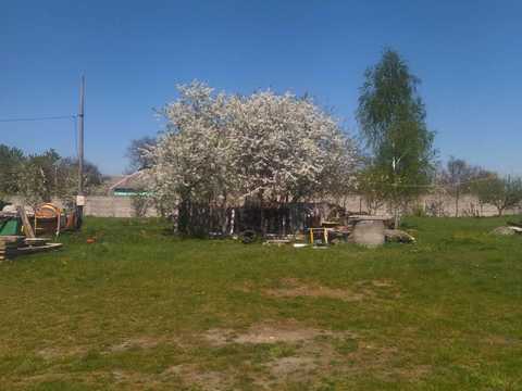 дом по адресу Ярослава Мудрого, 155 А