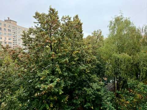 квартира за адресою Симиренка вул., 14-Б