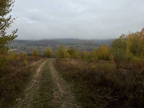 ділянка за адресою с. Циганівці, Лісова