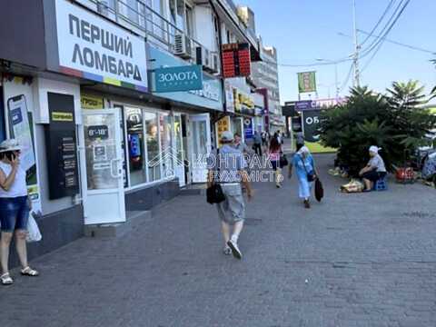 комерційна за адресою Різдвяна вул. (Енгельса), 29А