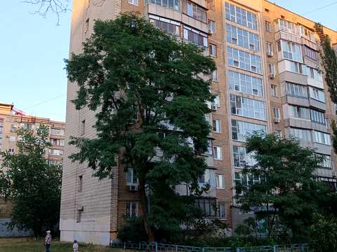 квартира по адресу Оболонский просп., 15-А
