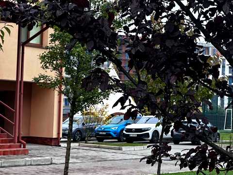 квартира за адресою Героїв Крут вул., (Будинок)