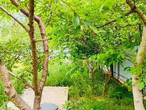 дом по адресу СТ Марія, 5