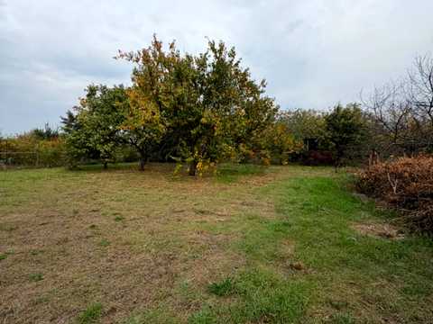 дом по адресу с. Орловщина, Аеродромна, 30