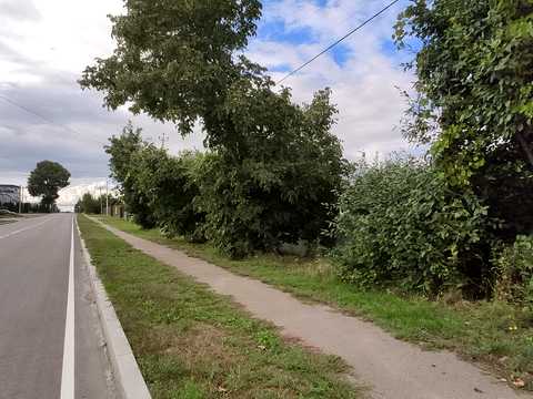 будинок за адресою с. Велика Олександрівка, Київський шлях
