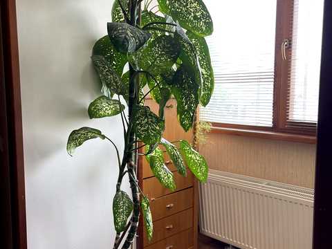 квартира за адресою Черкаси, Пастерівська вул., 25