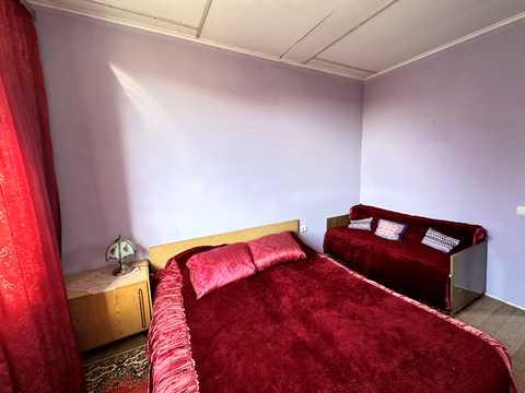 будинок за адресою с. Новоселівка, Горіхове, 7