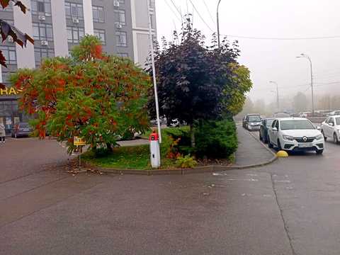 квартира по адресу Лесковская ул., 37