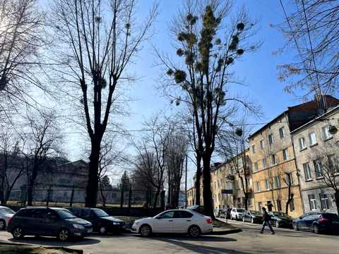 квартира за адресою Скісна вул., 4