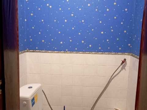 дом по адресу с. Фонтанка, Центральная
