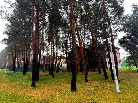 дом по адресу Лісова ул.