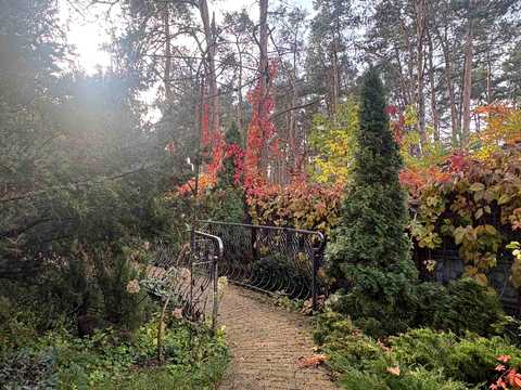 дом по адресу с. Горенка, Лесная ул.
