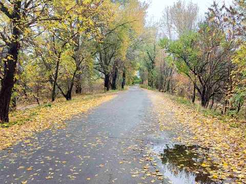 будинок за адресою с. Кривуші, Зоря