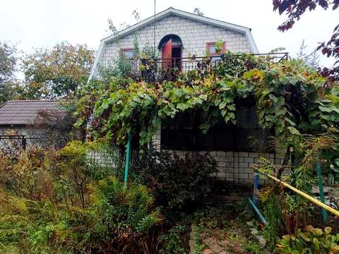 будинок за адресою с. Кривуші, Зоря
