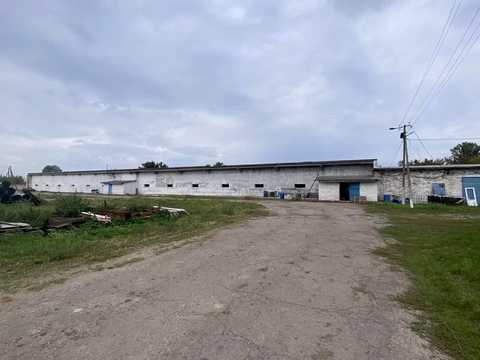 комерційна за адресою Центральна, 5