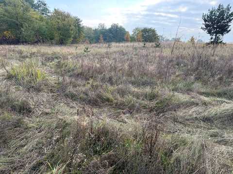 ділянка за адресою Василькова