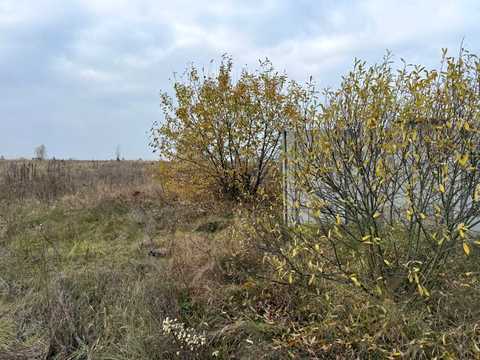 ділянка за адресою Василькова